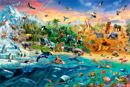 El Medioambiente 